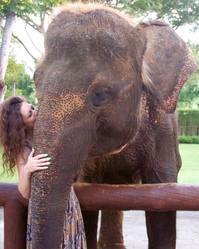 christina_cenci_elephants_travel_blogger